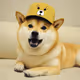 doge wif doge hat