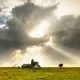 Rays of Light