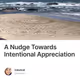 A Nudge Towards Intentional Appreciation