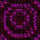 PulseWave