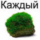 КАЖДЫЙ