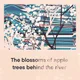 The blossoms of apple trees behind the river