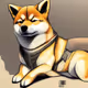 shiba