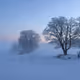 Morning in snowfog