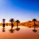 Reflections of the Sahara