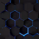 Zora Posts