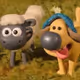 Sheep and dog