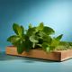 Based Management