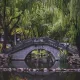 The Enchanted Pathway