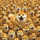 Many dog, One doge