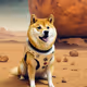 dog going mars