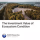 The Investment Value of Ecosystem Condition