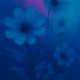 A blues violete