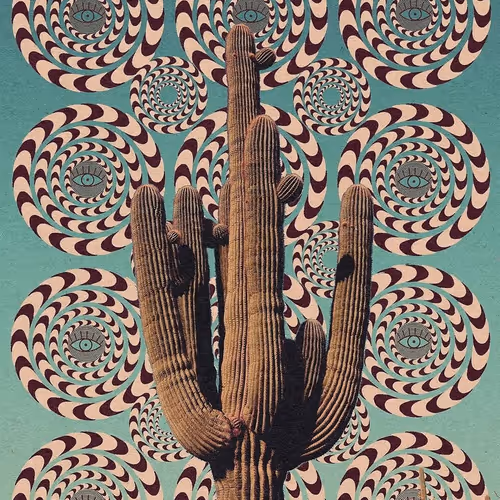 Cactus Dreams