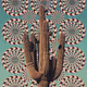 Cactus Dreams