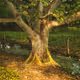 Square root
