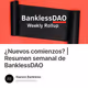 ¿Nuevos comienzos? | Resumen semanal de BanklessDAO