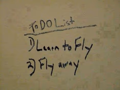 Fly away