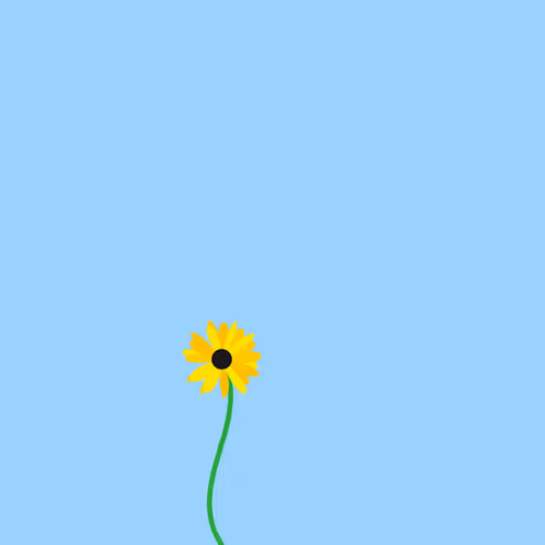 A Bunch Of Yellow Flowers