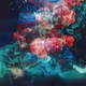 Hallucinogens Cont'd