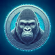 The Ape Coin
