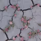 flowers growing through concrete