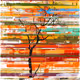 fall fusion