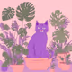 farhousecat