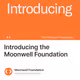 Introducing the Moonwell Foundation