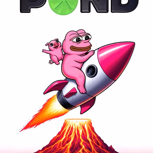Bome Discovery #1