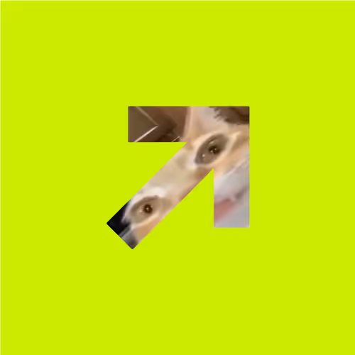 0xc31d3e1fd0a82fb4101bb0fc4c81a2360db1291f