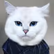 Kote