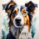 zksdoge