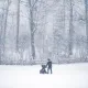 Parenting through the storm
