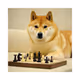 The Doge Gambit