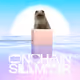 Onchain Summer Cat