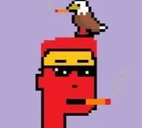 Punk Bird