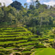 GreenSteps