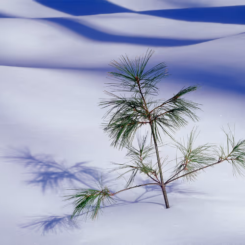 0xb28abc46b1bde2687bfd34168ba3f0f489d417a3