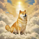 R.I.P Kabosu-chan