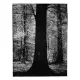 Trees 30Mar2025