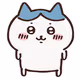 hachi