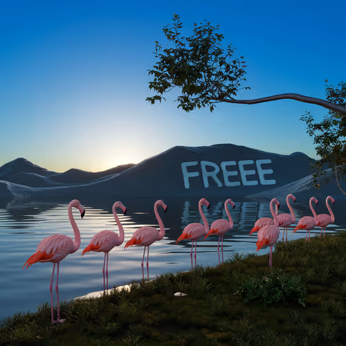 FREEE FLAMINGOS