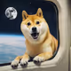 Doge Up