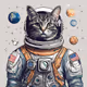 Astronaut cat