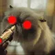 Bad Kitty