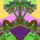 Letsglitchitcam