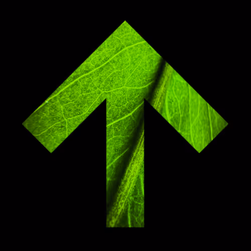 0x392e41b69688efedf6a9cce53a36a6b14deca7b6