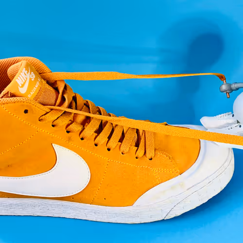 SneakHeads® prototype #001