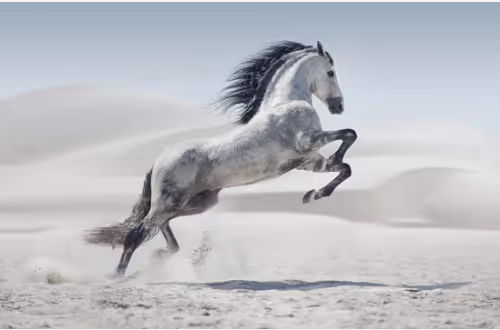 Desert Horse